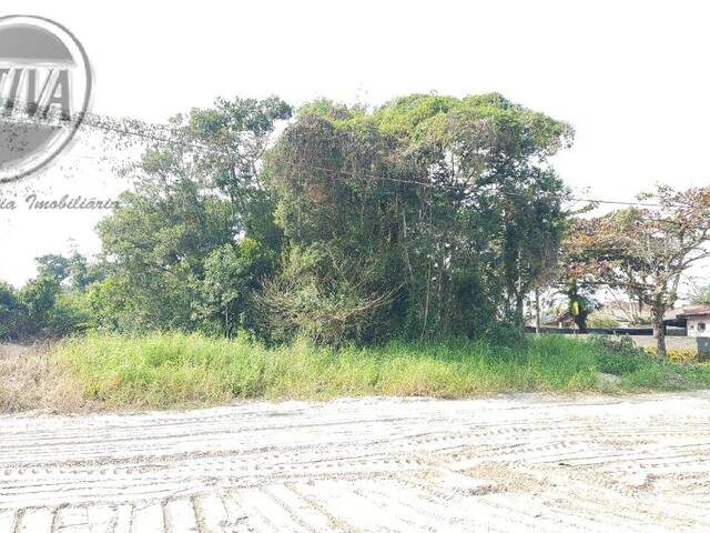 #1060T - Terreno para Venda em Guaratuba - PR - 3