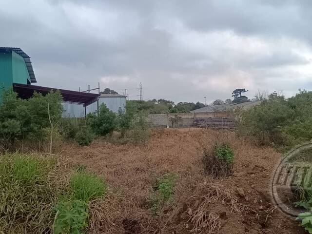 Terreno para Venda em Thomaz Coelho - 23