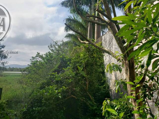 Terreno para Venda em Mirim - 14