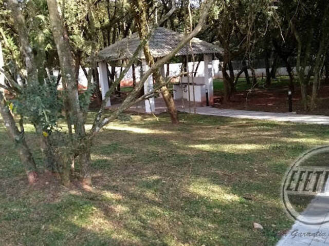 Apartamento para Venda em Tindiquera - 12