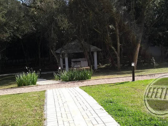 Apartamento para Venda em Tindiquera - 10