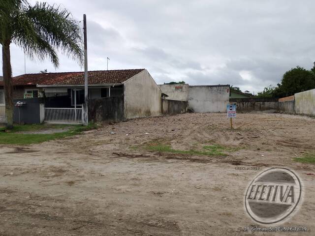 Terreno para Venda em Matinhos - 4
