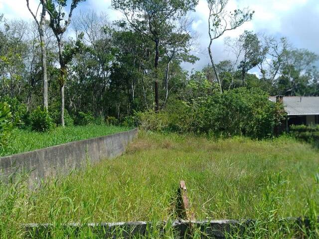 #695T - Terreno para Venda em Matinhos - PR - 1