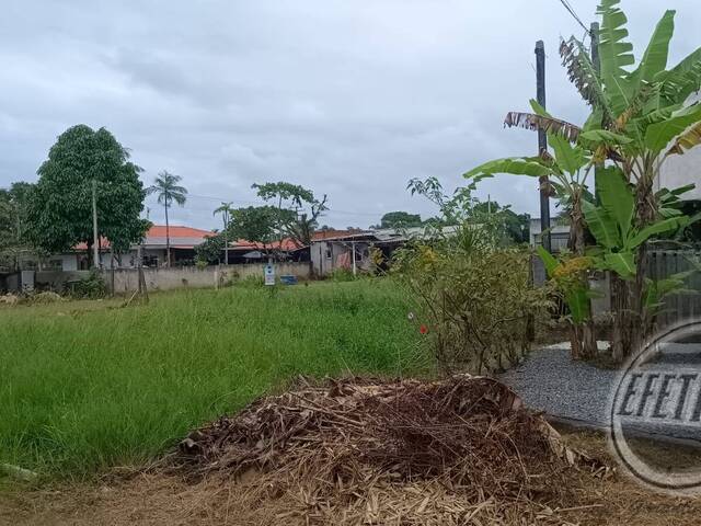 #1062T - Terreno para Venda em Guaratuba - PR - 3