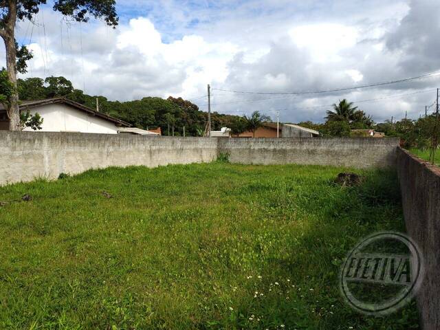 Terreno para Venda em Nereidas - 6