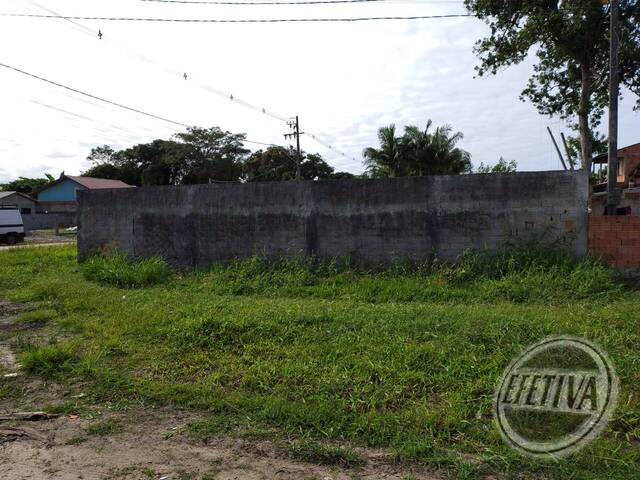 #1064T - Terreno para Venda em Guaratuba - PR - 3
