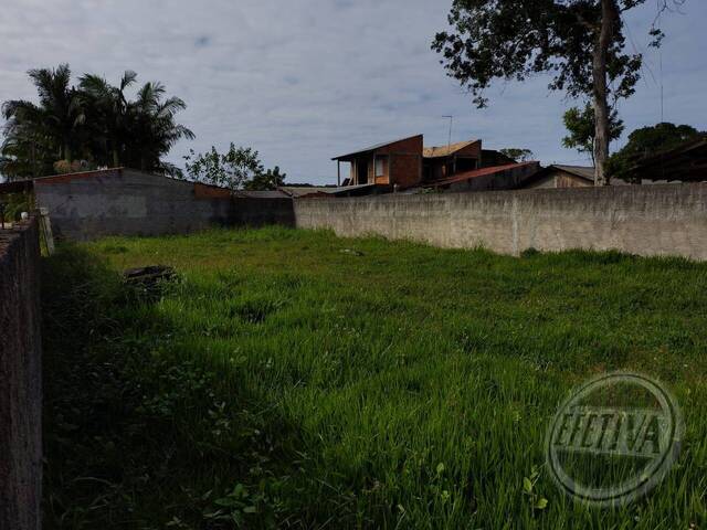 Terreno para Venda em Nereidas - 7
