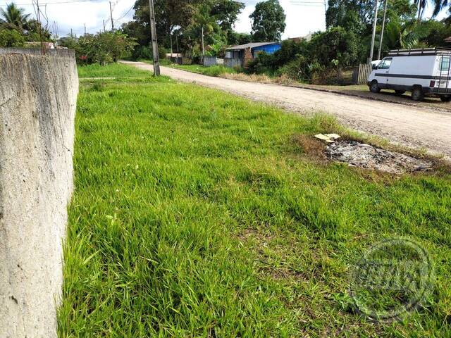 Terreno para Venda em Guaratuba - 5