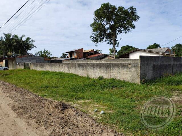 Terreno para Venda em Guaratuba - 4