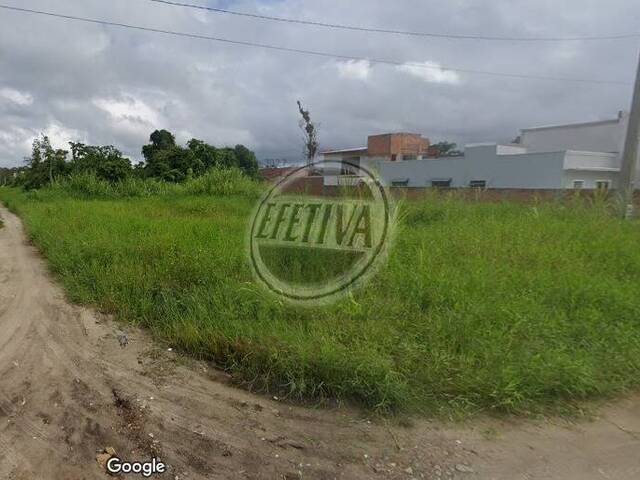 #697T - Área para Venda em Matinhos - PR - 1