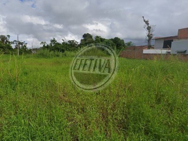 #697T - Área para Venda em Matinhos - PR - 3