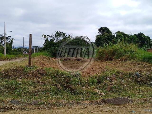 #697T - Terreno para Venda em Matinhos - PR - 3