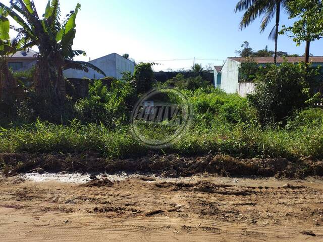 #1044T - Terreno para Venda em Guaratuba - PR - 3