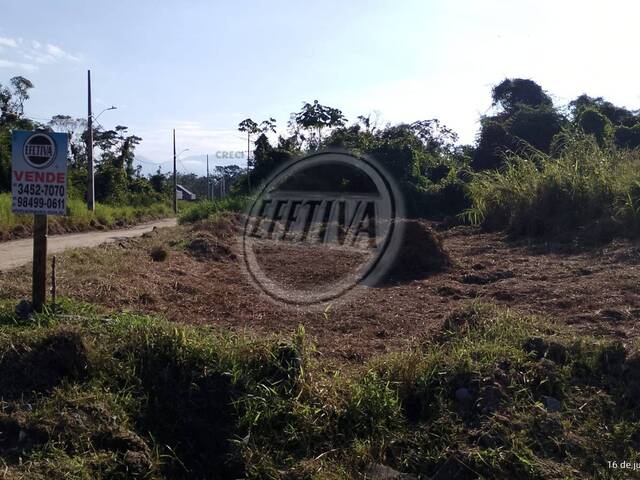 #697T - Terreno para Venda em Matinhos - PR - 1