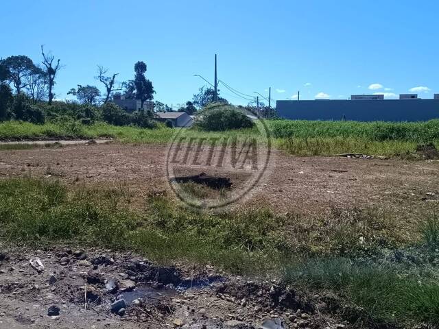 #1068T - Terreno para Venda em Guaratuba - PR - 2