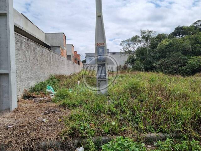 #699T - Terreno para Venda em Matinhos - PR - 3