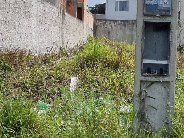 Terreno para Venda em Matinhos - 4
