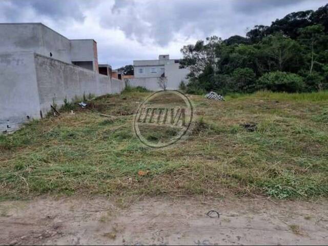 #699T - Terreno para Venda em Matinhos - PR - 1