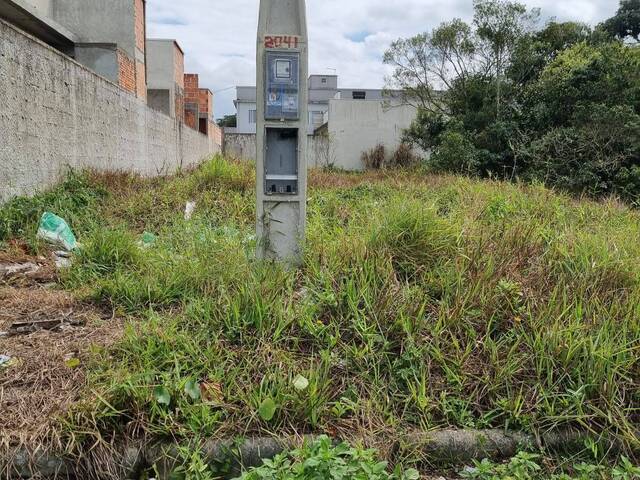 Terreno para Venda em Matinhos - 5