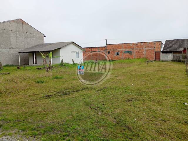 Terreno para Venda em Matinhos - 4