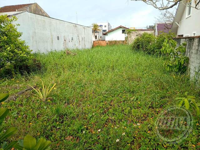 #703T - Área para Venda em Matinhos - PR - 1