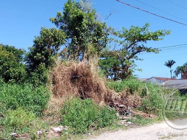 #1060T - Terreno para Venda em Guaratuba - PR - 2