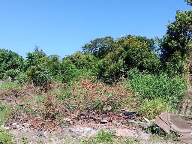 #1060T - Terreno para Venda em Guaratuba - PR - 3