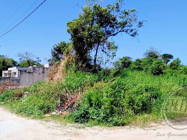 Terreno para Venda em Guaratuba - 4