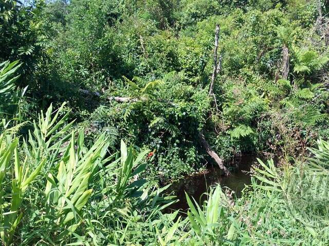 Terreno para Venda em Guaratuba - 5