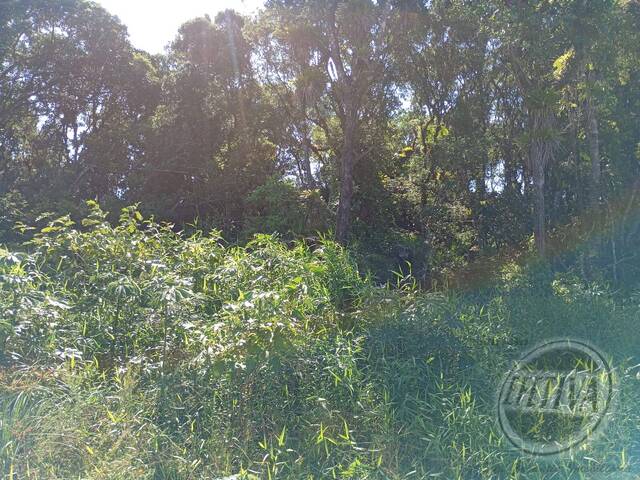 #707T - Terreno para Venda em Matinhos - PR - 3