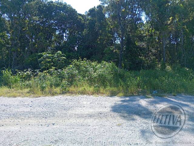 #707T - Terreno para Venda em Matinhos - PR - 1