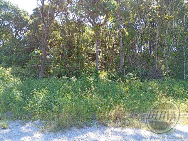 #707T - Terreno para Venda em Matinhos - PR - 2