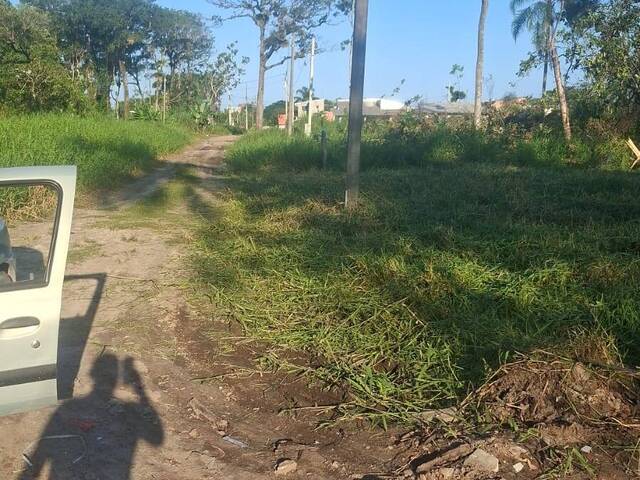 Terreno para Venda em Matinhos - 4