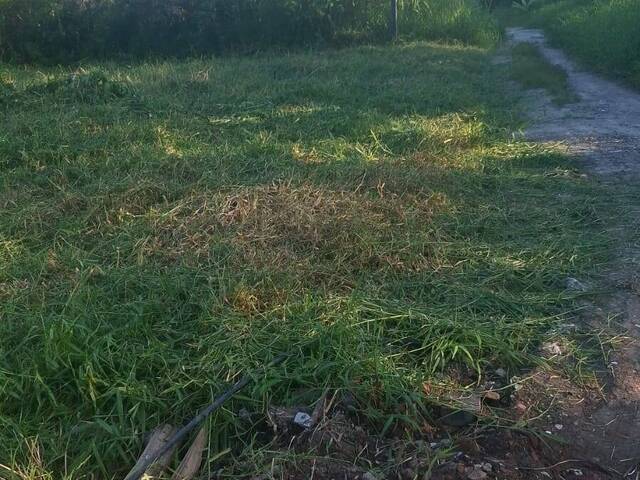 #709T - Terreno para Venda em Matinhos - PR - 2
