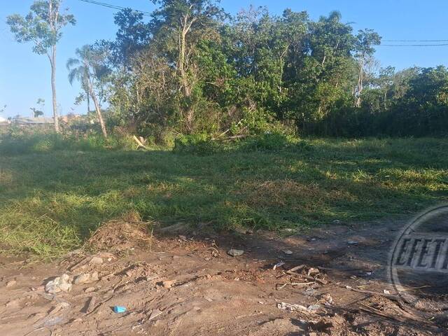 #709T - Terreno para Venda em Matinhos - PR - 3