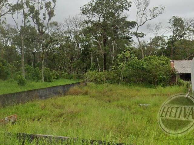 #695T - Terreno para Venda em Matinhos - PR - 3