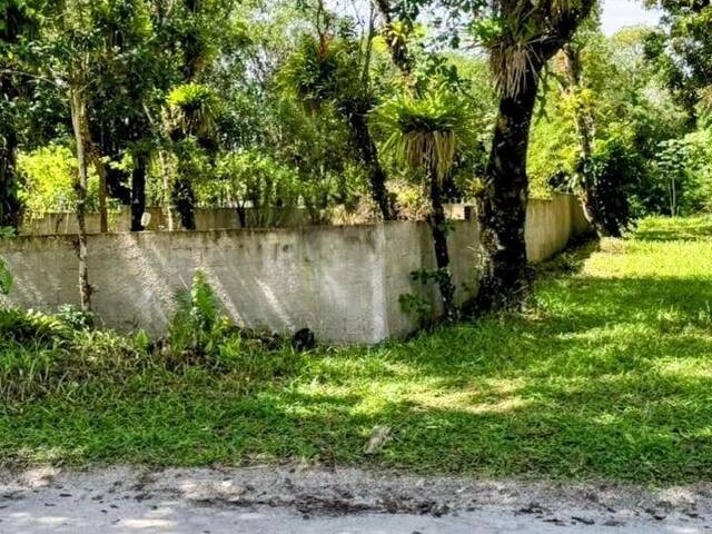 Área para Venda em Pontal do Paraná - 5