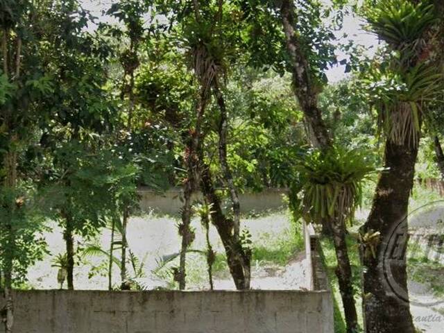 #711T - Área para Venda em Pontal do Paraná - PR - 3