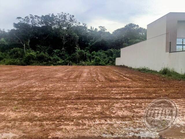 Terreno para Venda em Guaratuba - 4