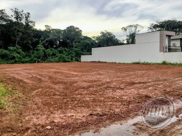 #1074T - Terreno para Venda em Guaratuba - PR - 1