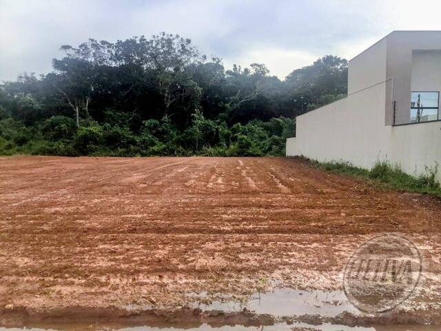 Terreno para Venda em Balneário Eliane - 6