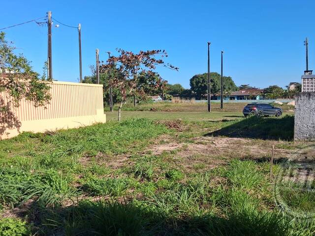 Terreno para Venda em Monções - 9