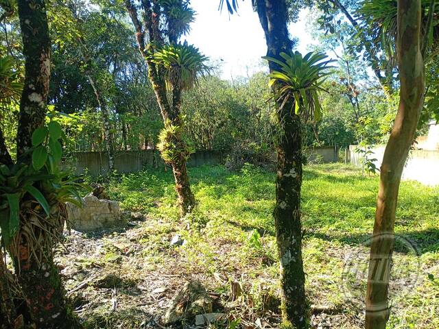 Área para Venda em GUARAGUAÇU - 8