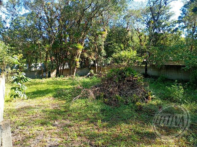 Área para Venda em GUARAGUAÇU - 12