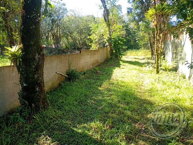 Área para Venda em GUARAGUAÇU - 13