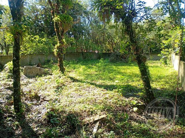 Área para Venda em GUARAGUAÇU - 14