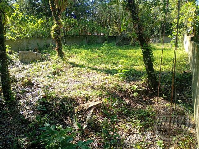 Área para Venda em GUARAGUAÇU - 16