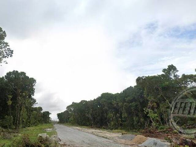 Terreno para Venda em Gaivotas - 8