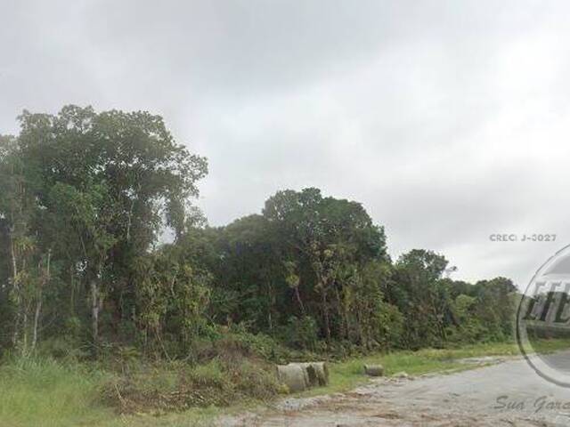 Terreno para Venda em Gaivotas - 9