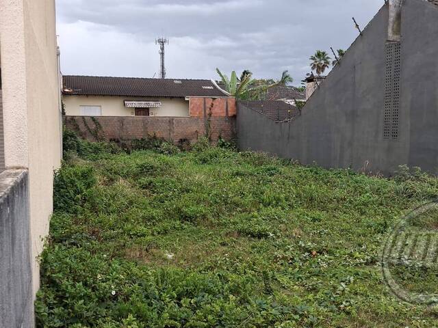 Terreno para Venda em Balneário Brejatuba - 4